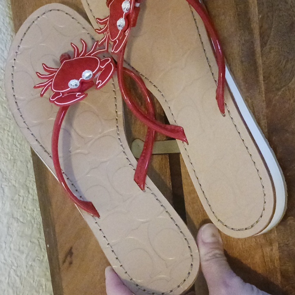 Coach Rare Marina Crab Slippers Size 8.5 - Picture 4 of 13